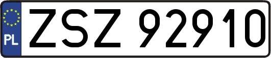 ZSZ92910