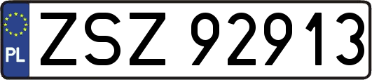 ZSZ92913