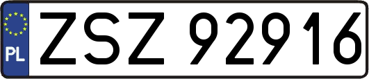 ZSZ92916