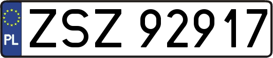 ZSZ92917