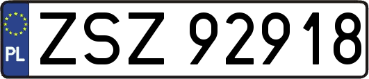 ZSZ92918