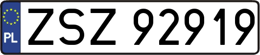 ZSZ92919
