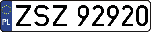 ZSZ92920