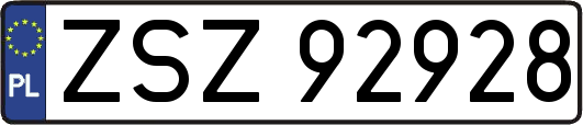 ZSZ92928