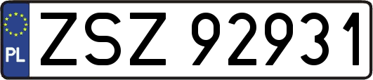 ZSZ92931