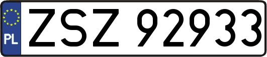 ZSZ92933