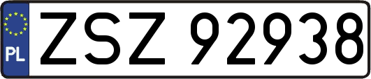 ZSZ92938