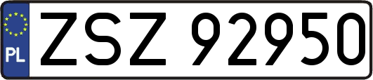 ZSZ92950