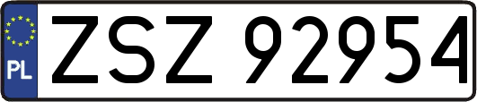 ZSZ92954