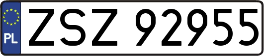 ZSZ92955