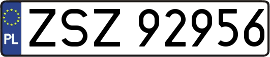 ZSZ92956