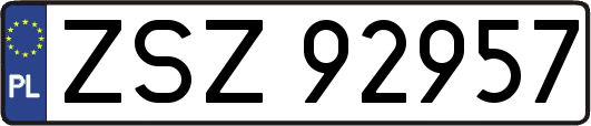 ZSZ92957
