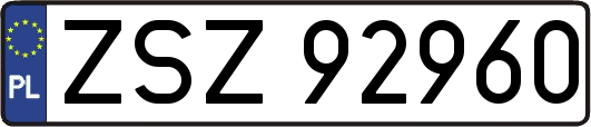 ZSZ92960