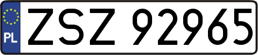 ZSZ92965