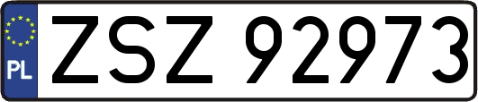 ZSZ92973