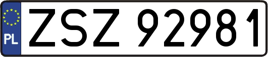ZSZ92981