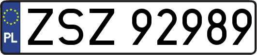 ZSZ92989