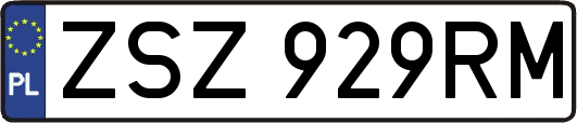 ZSZ929RM