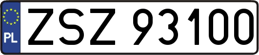 ZSZ93100