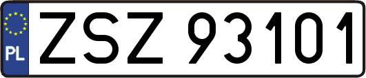 ZSZ93101