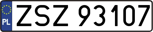 ZSZ93107
