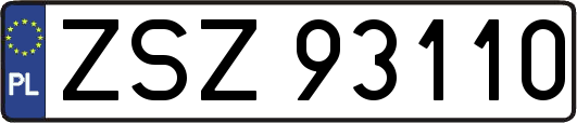 ZSZ93110