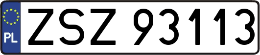 ZSZ93113