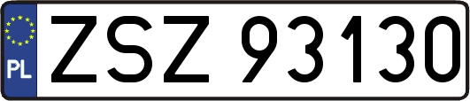 ZSZ93130