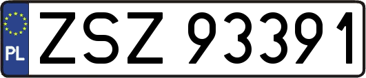 ZSZ93391