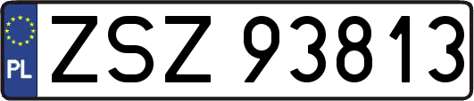 ZSZ93813
