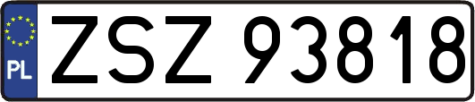 ZSZ93818