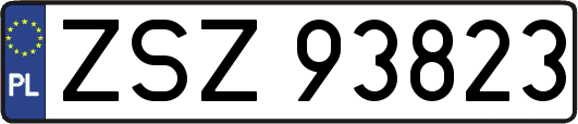 ZSZ93823