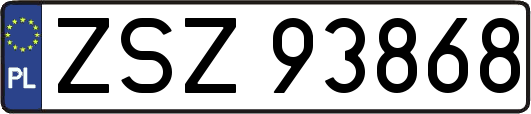 ZSZ93868