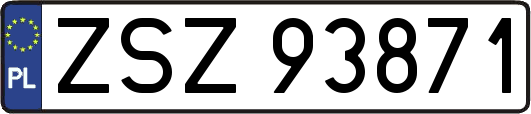 ZSZ93871