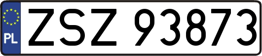 ZSZ93873