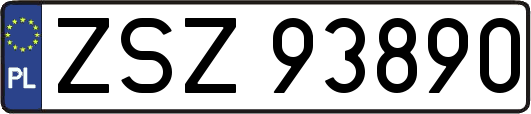 ZSZ93890
