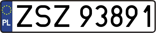 ZSZ93891