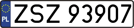 ZSZ93907
