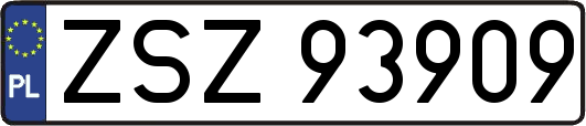 ZSZ93909