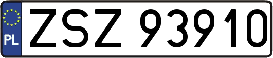ZSZ93910