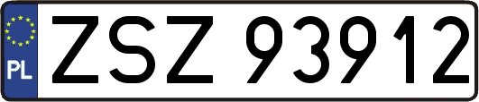 ZSZ93912