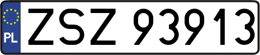ZSZ93913