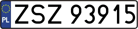 ZSZ93915