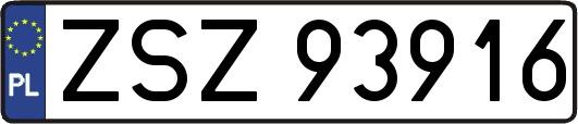 ZSZ93916