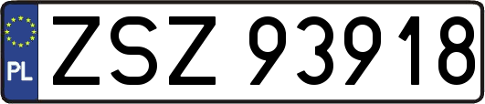 ZSZ93918