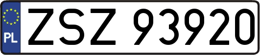 ZSZ93920