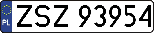 ZSZ93954