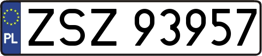 ZSZ93957