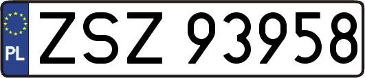 ZSZ93958