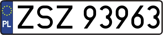 ZSZ93963